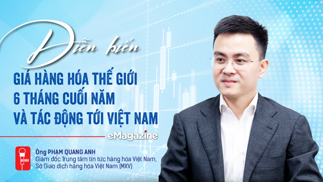 Read more about the article Diễn biến giá hàng hóa thế giới 6 tháng cuối năm và tác động tới Việt Nam