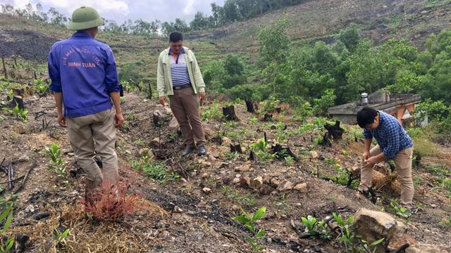 Kiểm toán Nhà nước phát hiện sai sót trong quản lý rừng tại nhiều địa phương