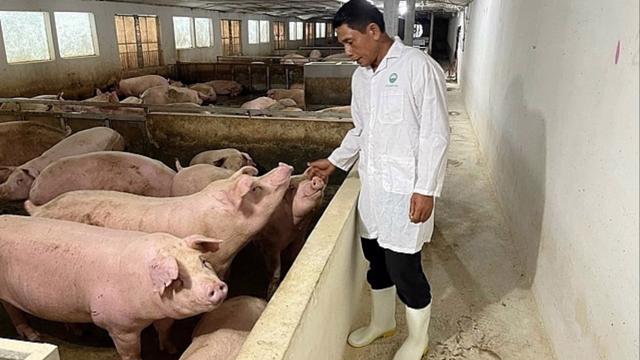 農民減少飼養牲畜，2024年春節肉品供應仍有保障