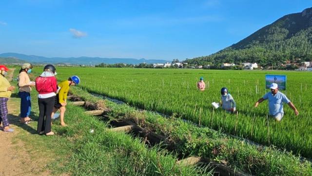 Chương trình IPHM góp phần nâng cao sức khoẻ cây trồng và bảo vệ môi trường