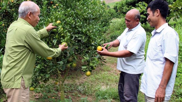 Vietnam aims to support 1,200 elderly entrepreneurs by 2030