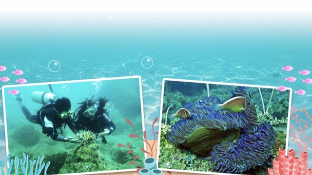 Quang Nam aims to lead Vietnam in green growth