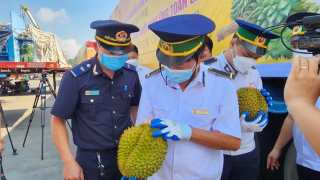 Vietnam-China border trade activities busy since early year