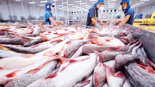 2M seafood export revenue hits $1.42 bln