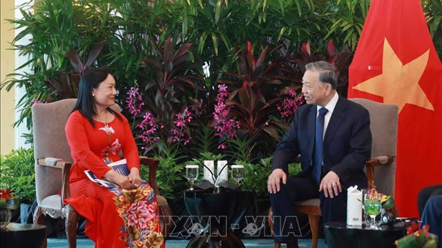Singaporean firms express interests to expand investment in Vietnam