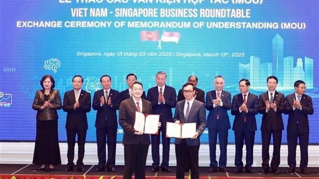 Vietnam - Singapore business roundtable held