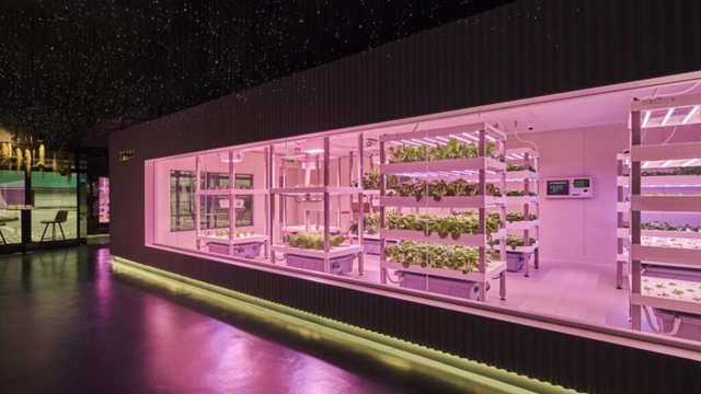 Hanoi targets 10-20% annual increase in high-tech agricultural models