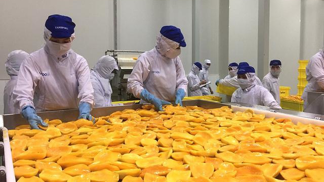 Agricultural exporters face challenge from stricter EU food safety regulations