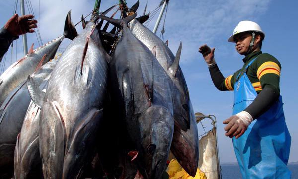 Seafood exports at risk in the US market