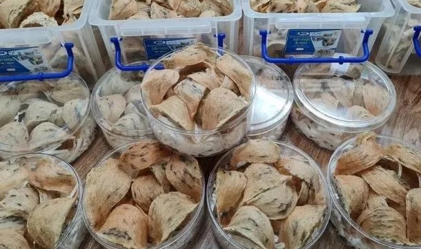 More farm produce allowed to export to China