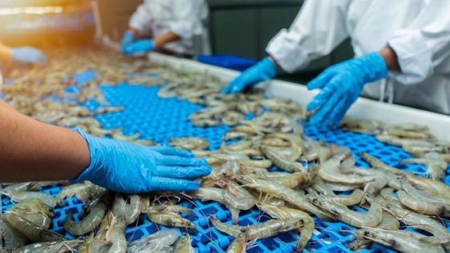Seafood export revenune in 4M estimated at $3.45 bln