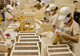 Gần 100 doanh nghiệp xuất khẩu gỗ dán cứng sang Hoa Kỳ bị điều tra kép
