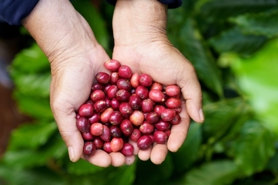 30 năm Nestlé đồng hành cùng người Việt trên hành trình phát triển bền vững