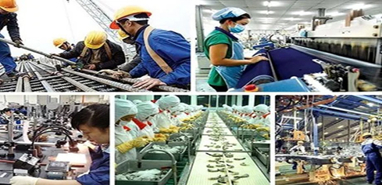 Phấn đấu tỷ trọng đóng góp của khu vực kinh tế tư nhân vào GDP đạt 51-52% trong năm 2025