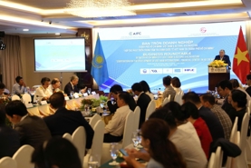 HCMC calls on Kazakh investors for financial hub project