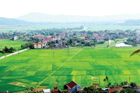 Chính sách đất đai mới góp phần phát triển nông nghiệp 