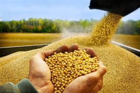 Bộ Tài chính xem xét giảm thuế nhập khẩu khô dầu đậu tương còn 1%, giảm áp lực với ngành chăn nuôi