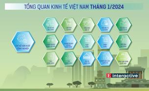 [Interactive]: Toàn cảnh kinh tế Việt Nam tháng 1/2024