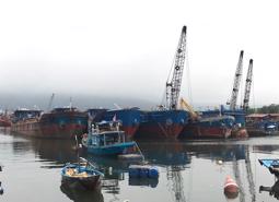 Đà Nẵng nạo vét, nâng cấp, mở rộng cảng cá Thọ Quang