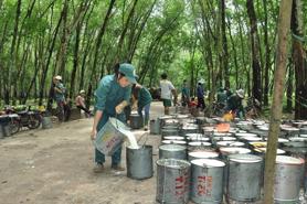 Xuất khẩu cao su của Việt Nam vẫn thuận lợi do thế giới thiếu hụt nguồn cung