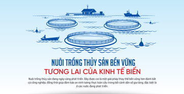 Nuôi trồng thủy sản bền vững: Tương lai của kinh tế biển 