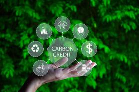 Vietnam Intensifies Carbon Credit Management to Fulfill Nationally Determined Contributions