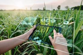 5 startup công nghệ hàng đầu trong lĩnh vực nông nghiệp tại Indonesia