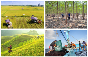 Agro-forestry-fishery trade surplus reaches $8.28 bln in 1H