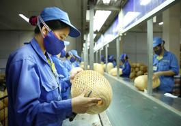 Thời khắc mang tính bước ngoặt trong thực hiện Chiến lược cải cách hệ thống thuế đến năm 2030