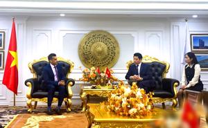 Quỹ đầu tư của Vương quốc Oman sắp trở thành cổ đông lớn của Văn Phú - Invest