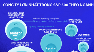 Những công ty lớn nhất trong từng lĩnh vực ở Mỹ