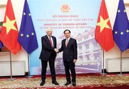 EU considers Vietnam leading important partners in the region