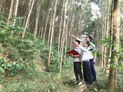 Workshop highlights Vietnam’s efforts in EU deforestation regulation preparedness