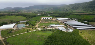 TP.HCM: Đất cho thuê, giao đất nếu không gia hạn sẽ bị thu hồi