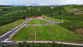 Gia Lai: Hàng loạt vi phạm trong quản lý rừng và đất bàn giao về địa phương