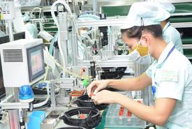 Chưa có quyết sách ưu đãi đầu tư FDI khi thực thi thuế tối thiểu toàn cầu