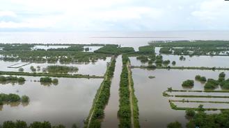 Hải Phòng gia hạn sử dụng đất 24 tháng đối với khu đầm nuôi trồng thuỷ sản hơn 300ha