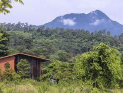 Villa ngoại ô: Những không gian sống tương tác với thiên nhiên