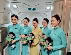 Vietnam Airlines tham gia thử thách của liên minh hàng không Skyteam