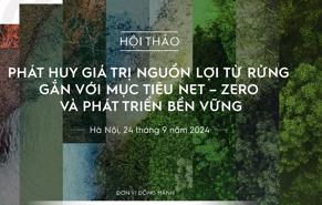 Cơ hội đầu tư phát triển rừng từ cơ chế tạo tín chỉ carbon