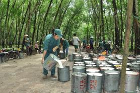 Tránh dùng mệnh lệnh hành chính để quản lý hoạt động mua bán qua Sở giao dịch hàng hóa