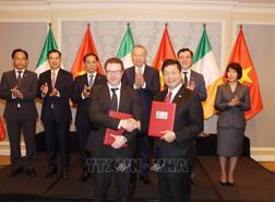 Vietnam-Ireland cooperation agreements exchanged