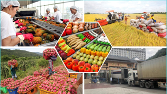 Agriculture, forestry, and fisheries exports surge