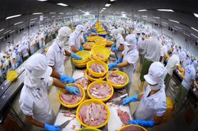 Vietnam's fishery exports reach $7.16 bln in 9 months