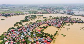 Agriculture on way to recovery from Typhoon Yagi