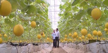 More than $1.45 billion to be invested in Thanh Hoa province’s agriculture.