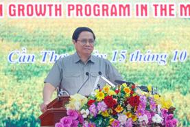 PM chairs conference to accelerate 1 million ha of high-quality rice project in Mekong Delta