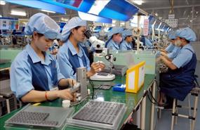 42% of surveyed enterprises expect better performance in Q4