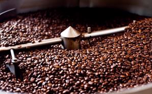 Coffee exports exceed $5 billion in 2023-2024 crop