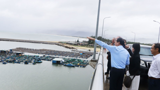 Binh Dinh welcomes German Group's $4.6 bln offshore wind power project